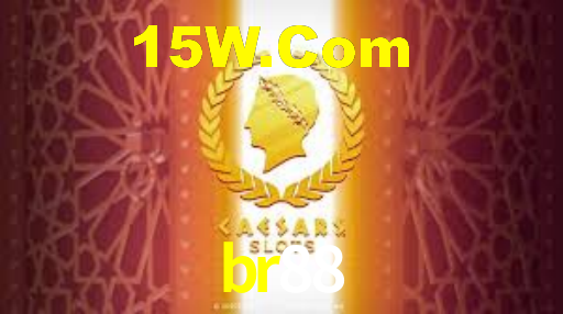 Premium Interface br88